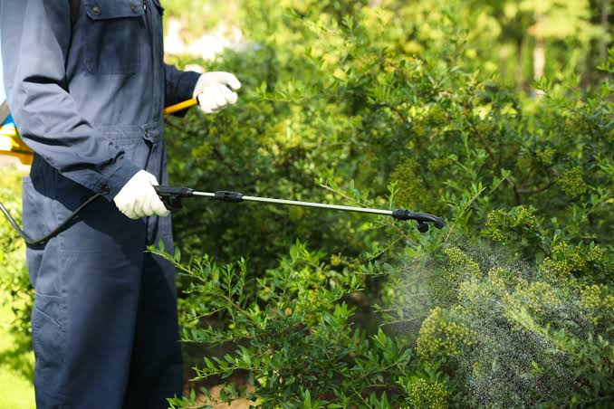 Lawn Care
